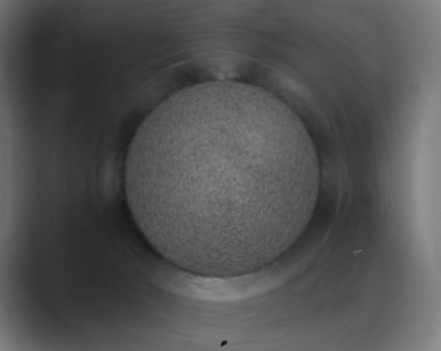 X0000089830030200706281220