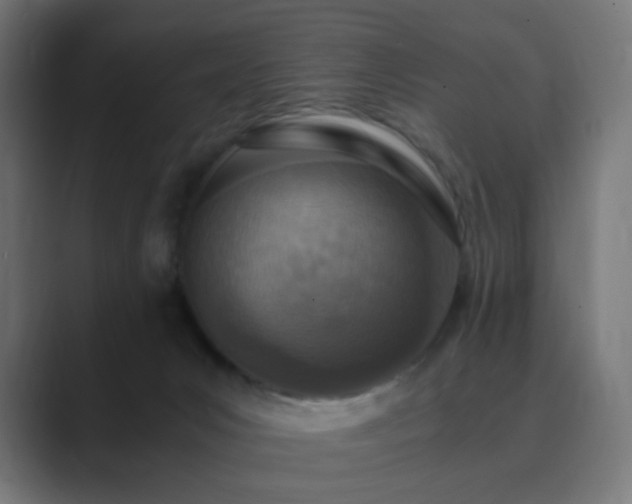 X0000089830031200706281220