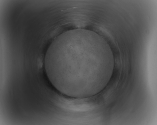 X0000089830032200706281220