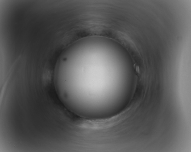 X0000089830033200706281220