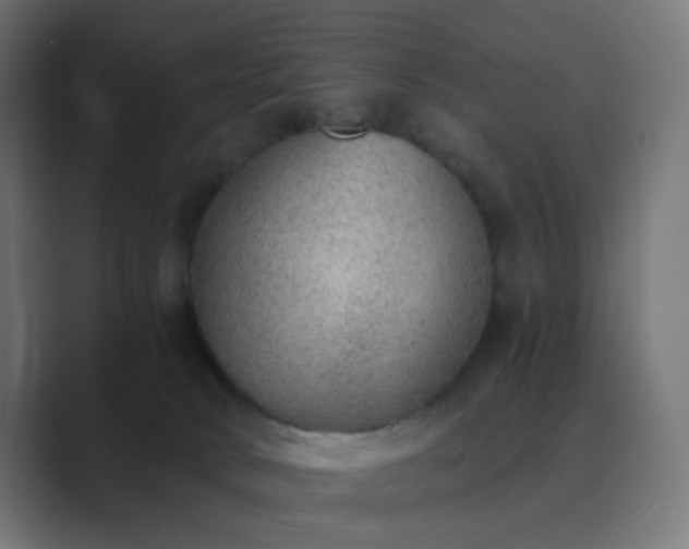 X0000089830034200706281220