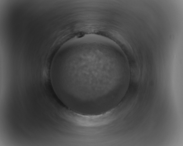 X0000089830035200706281220