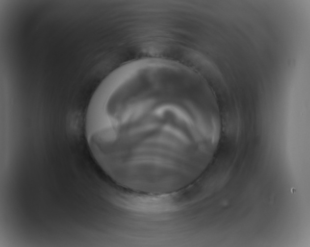 X0000089830036200706281220
