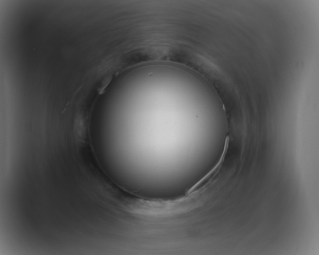 X0000089830037200706281220