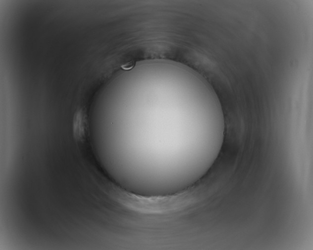 X0000089830038200706281220