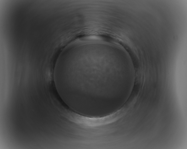 X0000089830039200706281220