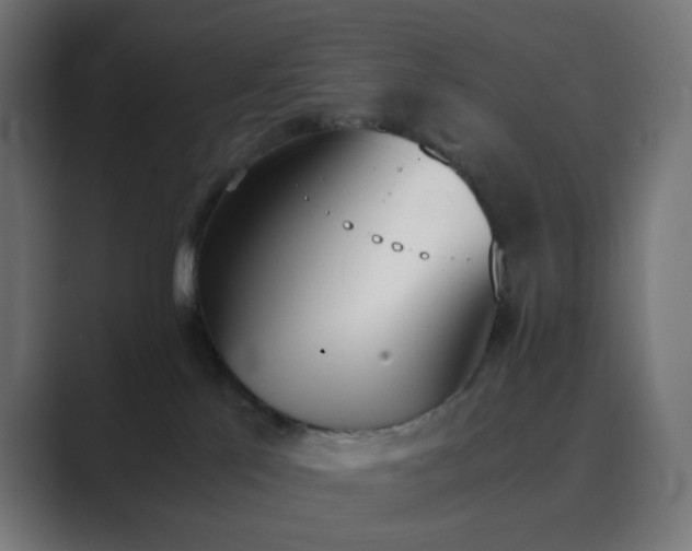 X0000089830041200706281220