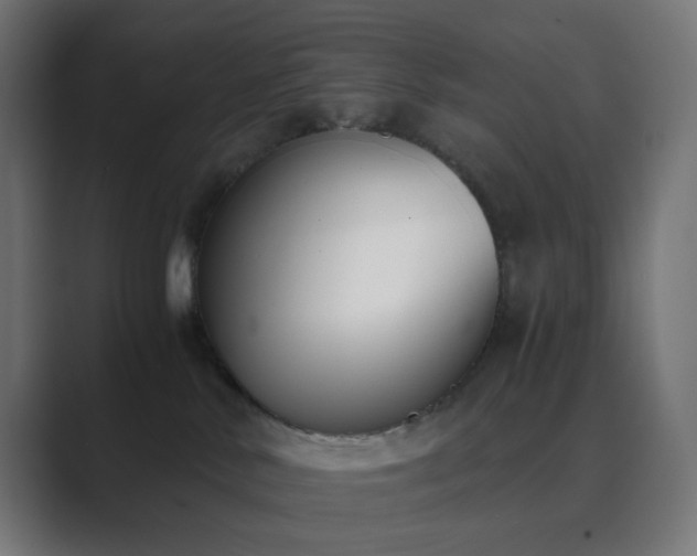 X0000089830042200706281220