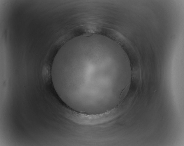 X0000089830043200706281220