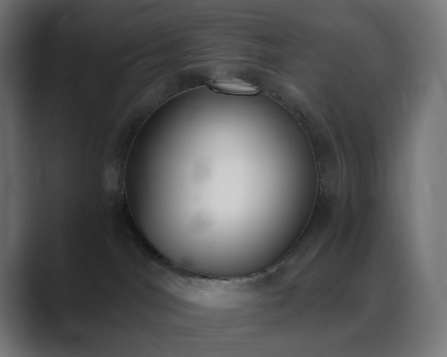 X0000089830044200706281220