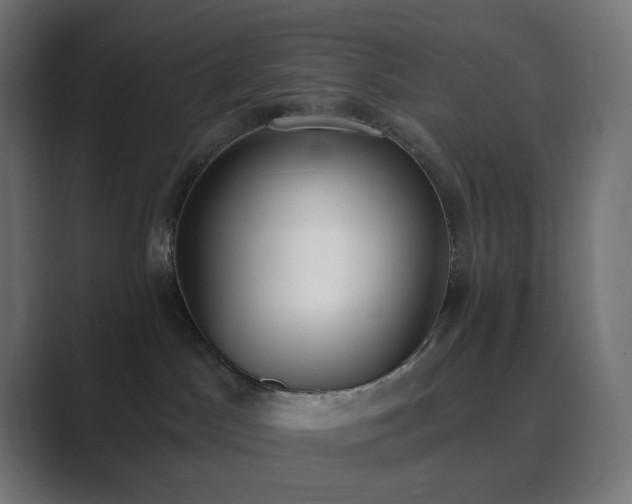 X0000089830045200706281220