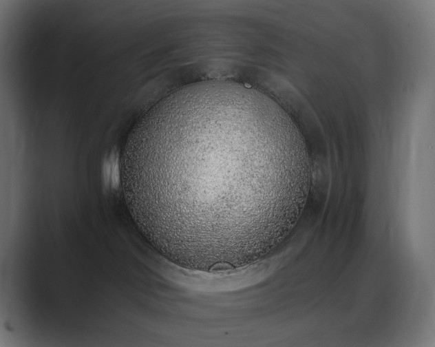 X0000089830046200706281220