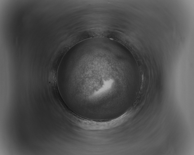 X0000089830048200706281220