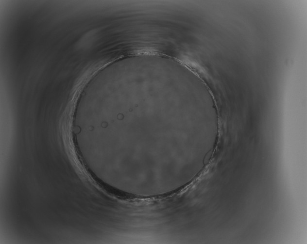 X0000089830049200706281219