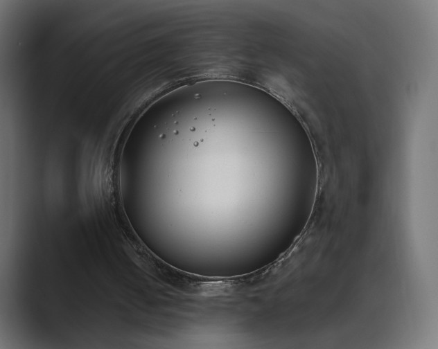 X0000089830050200706281219
