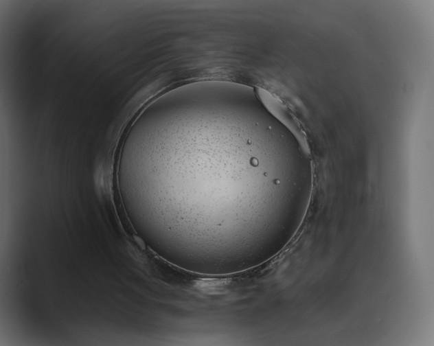 X0000089830051200706281219