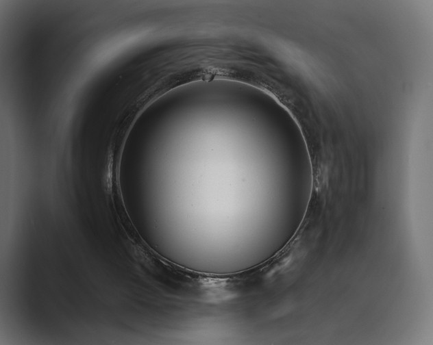 X0000089830052200706281219