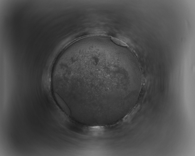 X0000089830053200706281219
