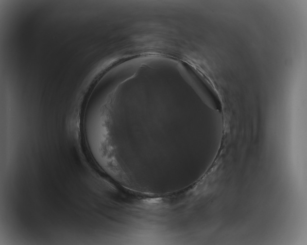 X0000089830054200706281219