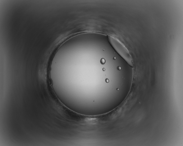 X0000089830055200706281219