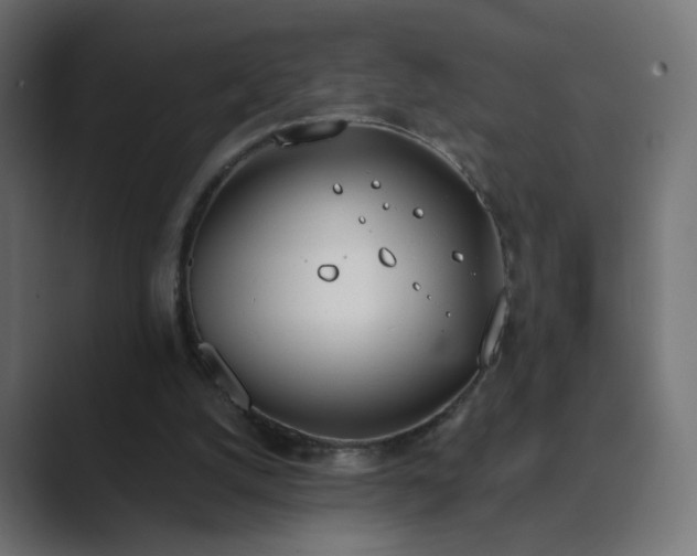 X0000089830056200706281219