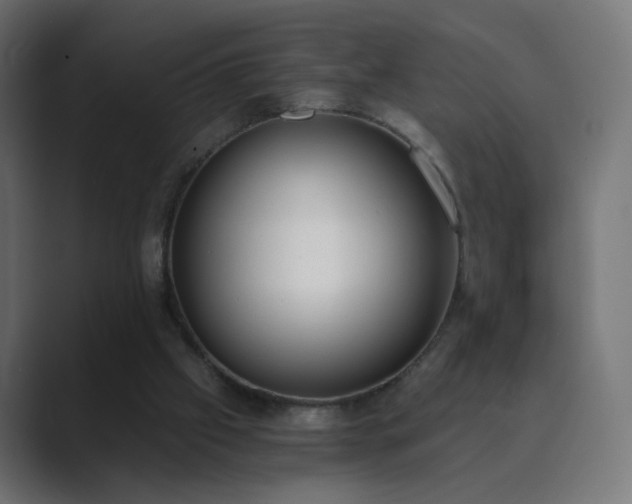 X0000089830057200706281219