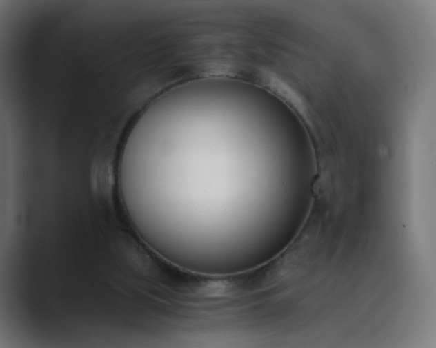 X0000089830059200706281219