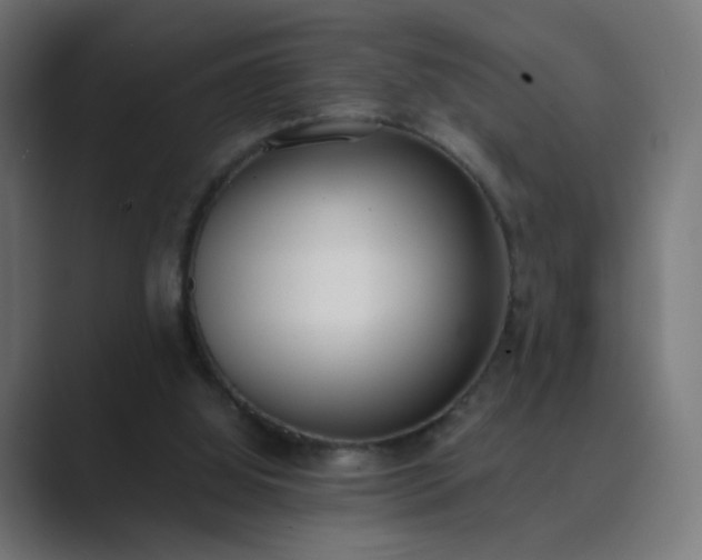 X0000089830060200706281219