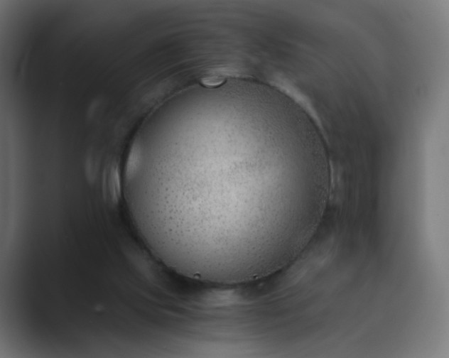 X0000089830061200706281219