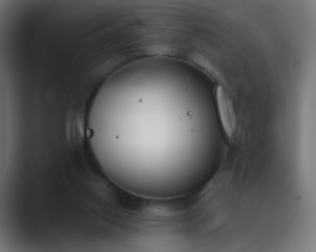 X0000089830062200706281219