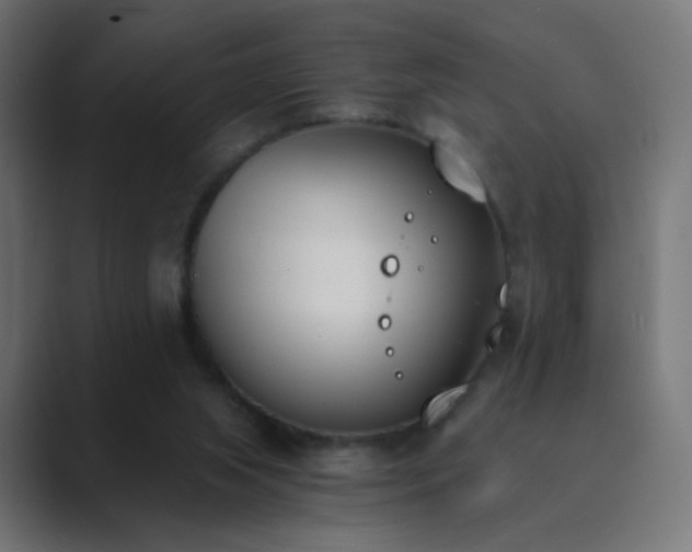 X0000089830063200706281219