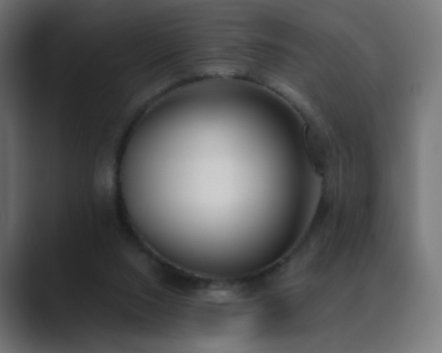 X0000089830064200706281219