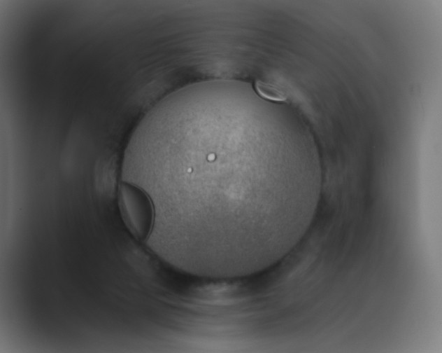 X0000089830065200706281219