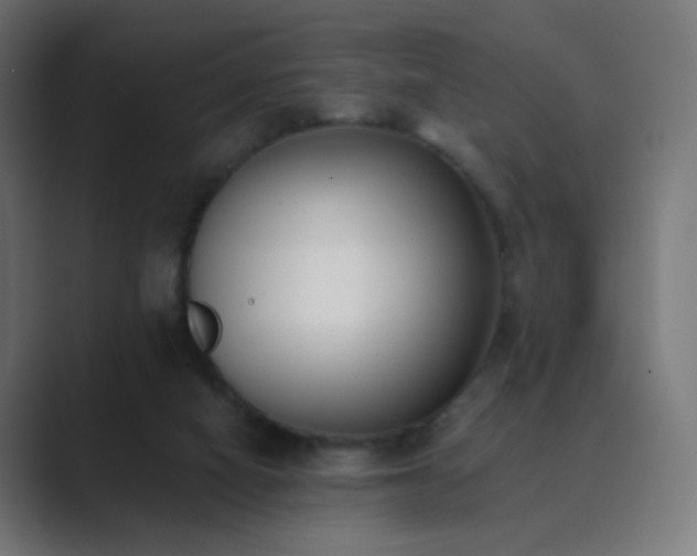 X0000089830066200706281219
