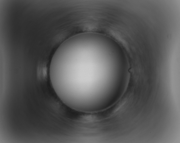 X0000089830067200706281219