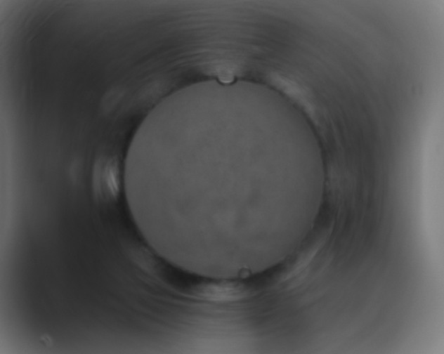 X0000089830069200706281219