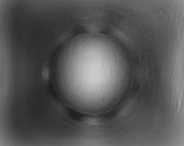 X0000089830071200706281219