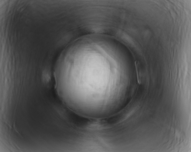 X0000089830072200706281219