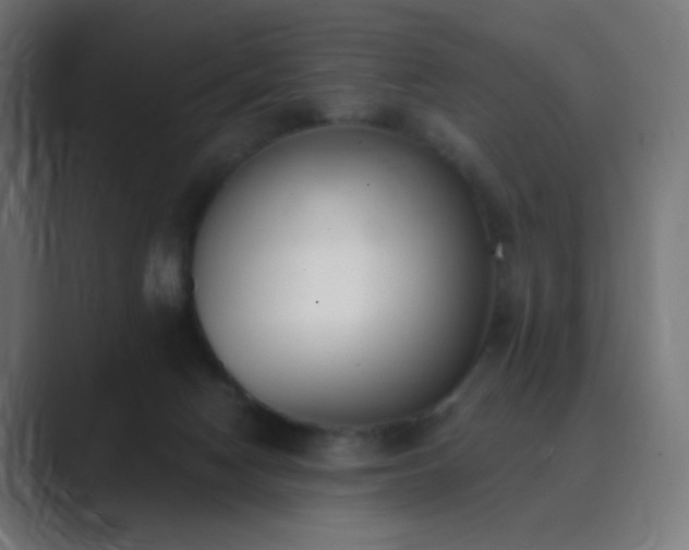 X0000089830074200706281219