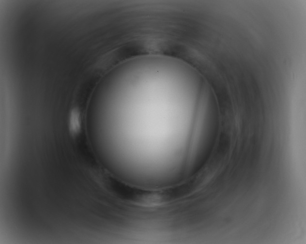 X0000089830075200706281219