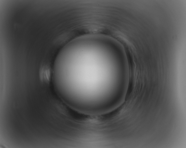 X0000089830076200706281219