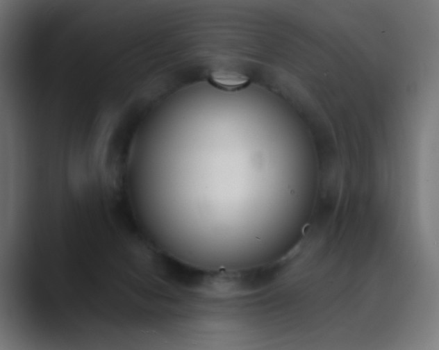 X0000089830078200706281219