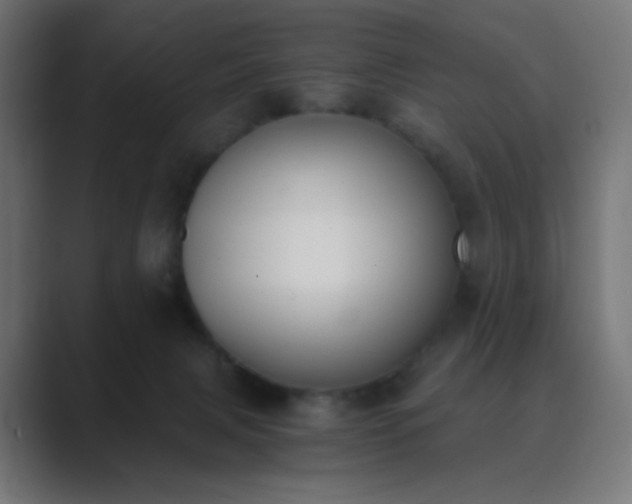 X0000089830079200706281219