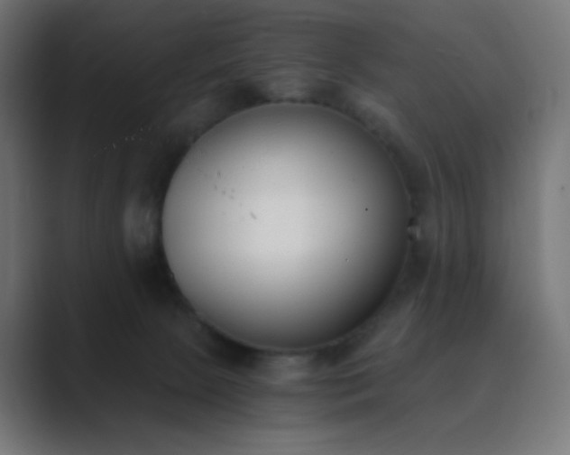 X0000089830081200706281219