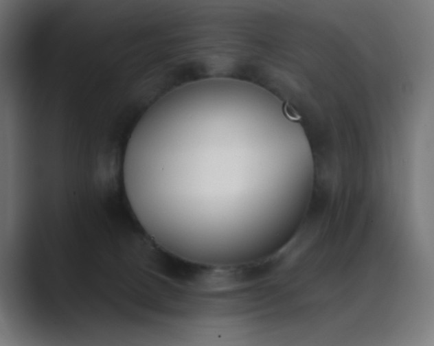 X0000089830082200706281219