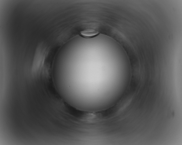 X0000089830083200706281220