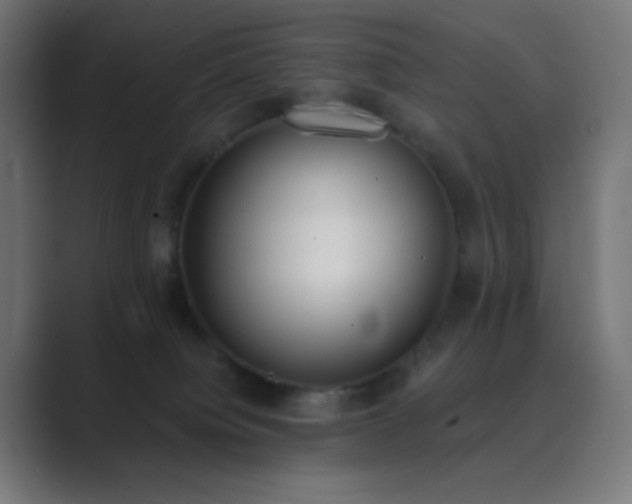 X0000089830084200706281220