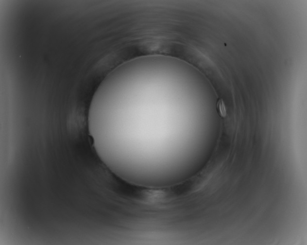 X0000089830085200706281220