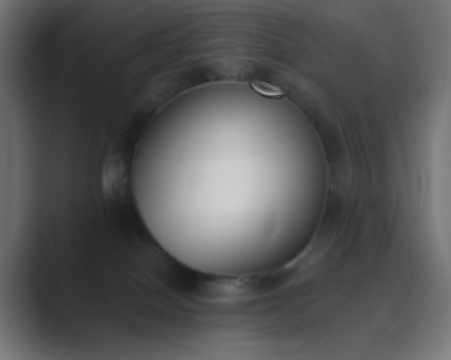 X0000089830086200706281220