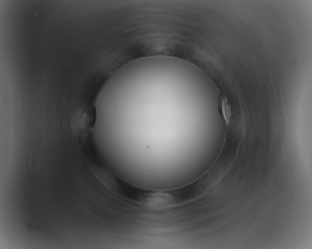 X0000089830087200706281220